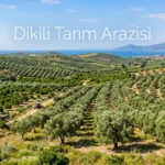 Dikili tarım arazisi şartları neler?